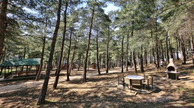 Firmamıza ait olan turlar