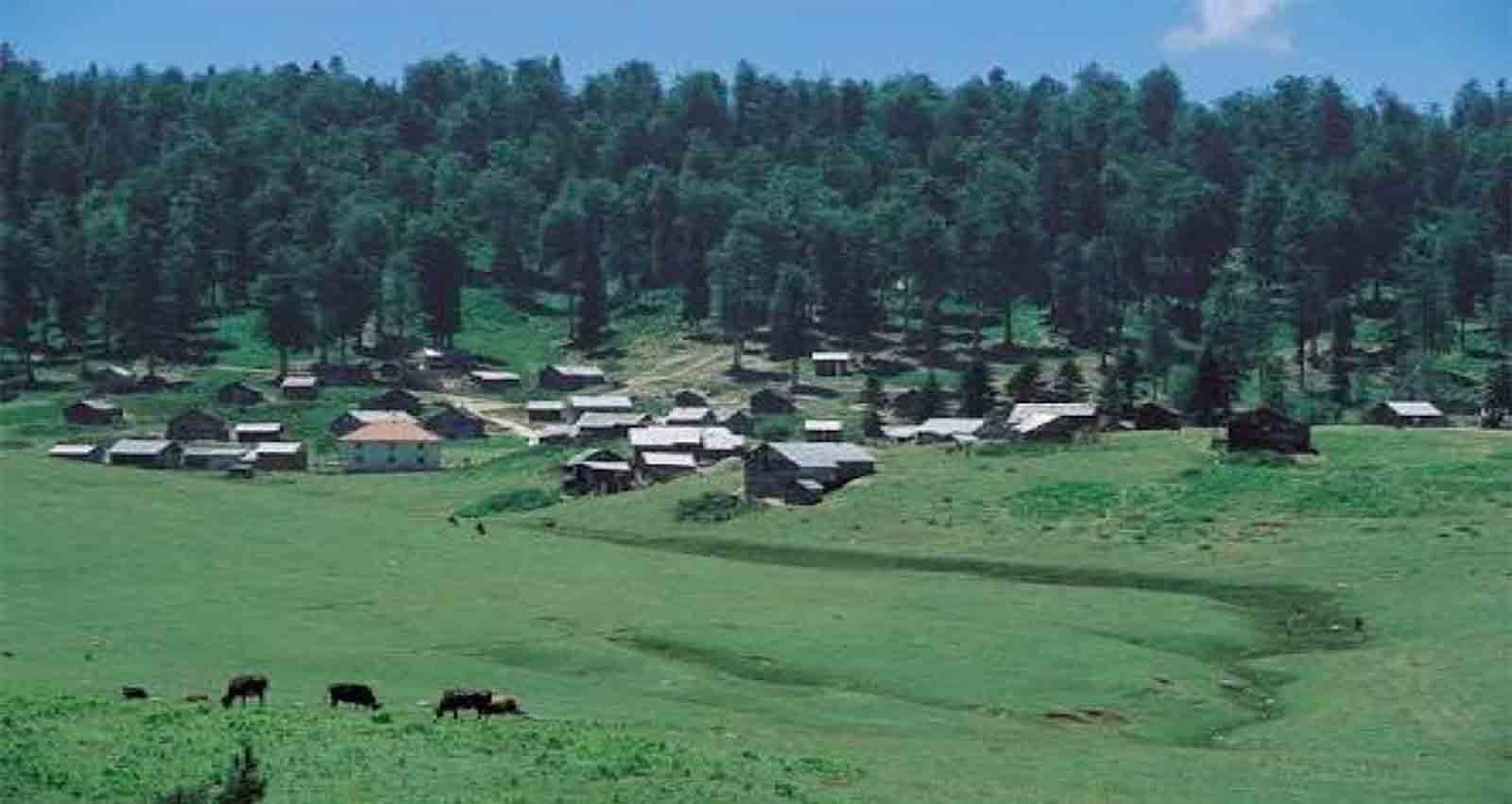 Firmamıza ait olan turlar